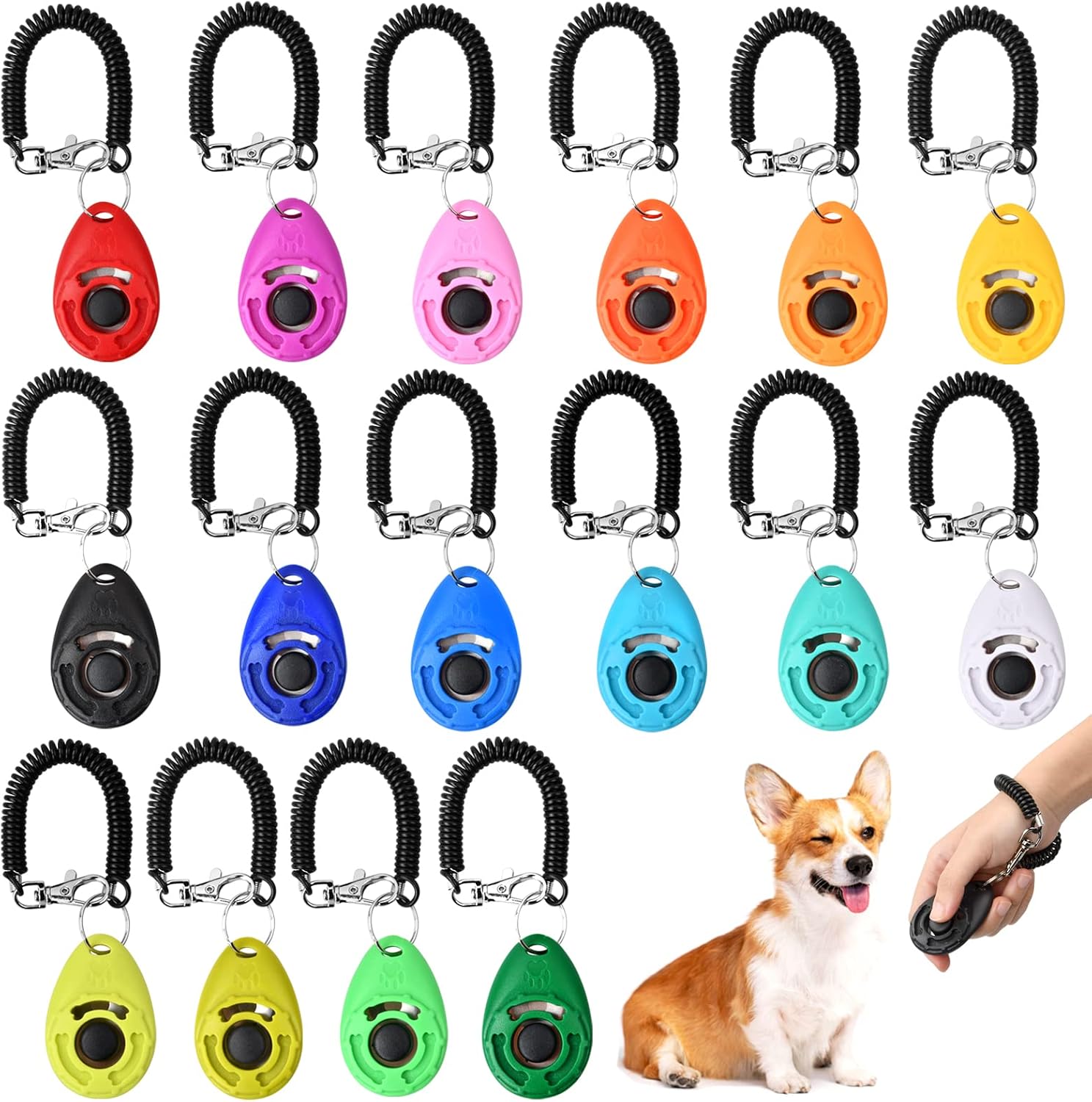 Clicker de adiestramiento — foto real del tipo de producto