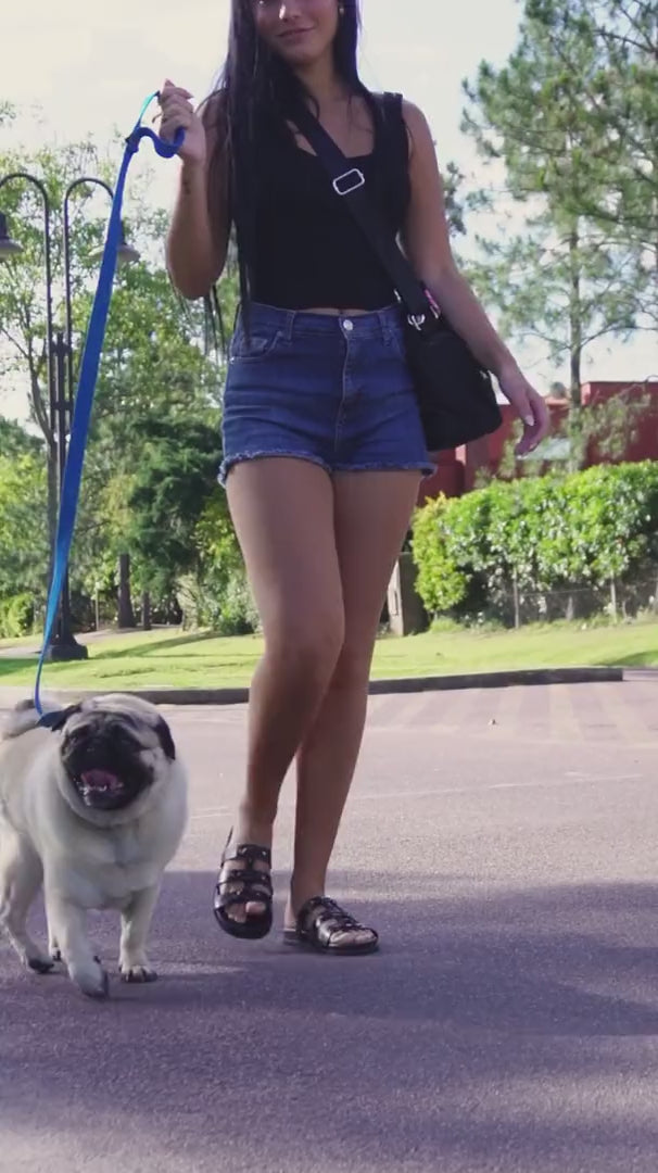 Persona paseando a su perro con la correa suelta por un parque