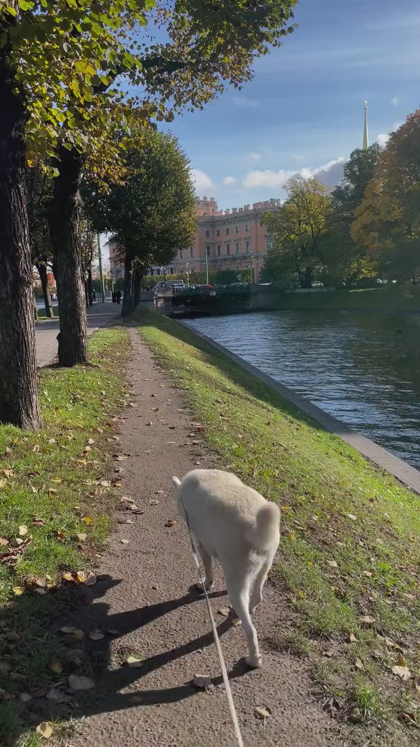 Perro explorando por delante de su dueno con una correa larga junto a un canal